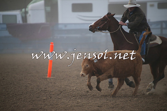 CountyCumberlandCampdraftSat_0039