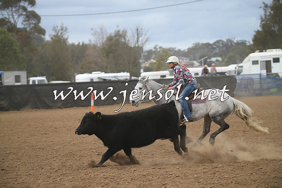 CountyCumberlandCampdraftSat_0551