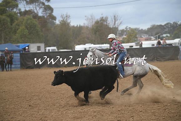 CountyCumberlandCampdraftSat_0549