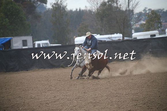 CountyCumberlandCampdraftSat_0148
