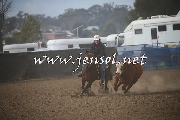 CountyCumberlandCampdraftSat_0276