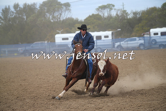 CountyCumberlandCampdraftSat_0315