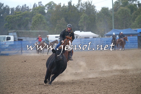 CountyCumberlandCampdraftSat_0115