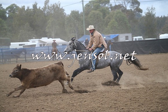 CountyCumberlandCampdraftSat_0320