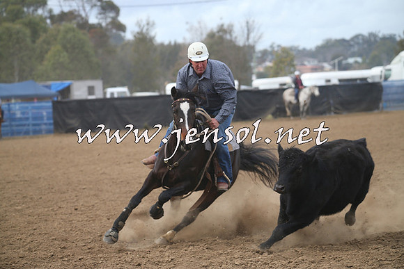 CountyCumberlandCampdraftSat_0325