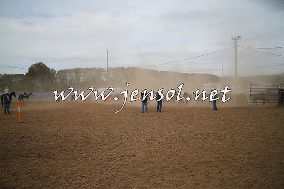 CountyCumberlandCampdraftSat_0343