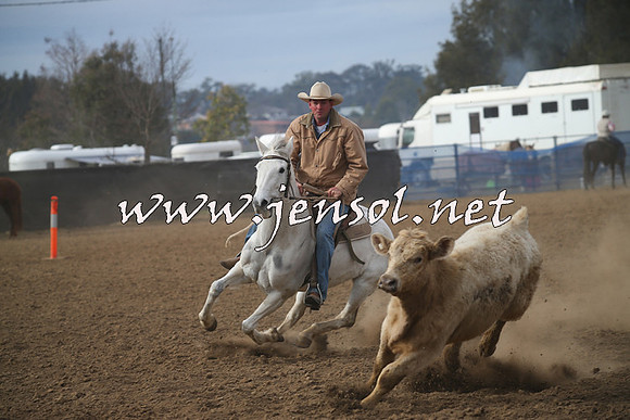 CountyCumberlandCampdraftSat_0233