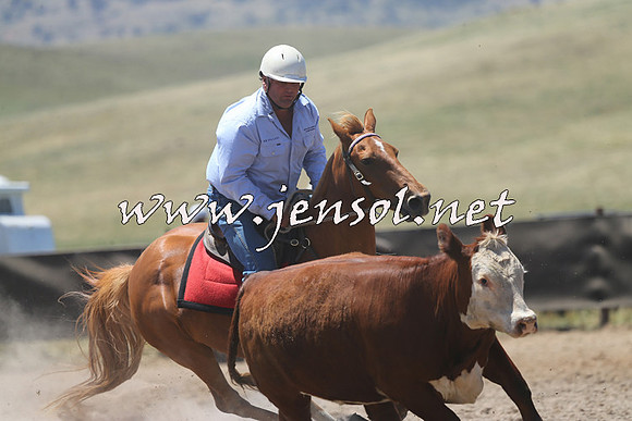 AdaminabyCampdraft2014_0084