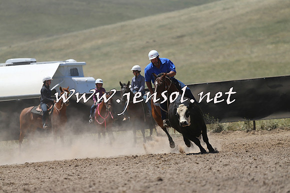 AdaminabyCampdraft2014_0065