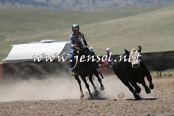 AdaminabyCampdraft2014_0103