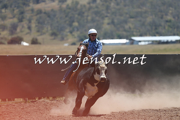 AdaminabyCampdraft2014_0109