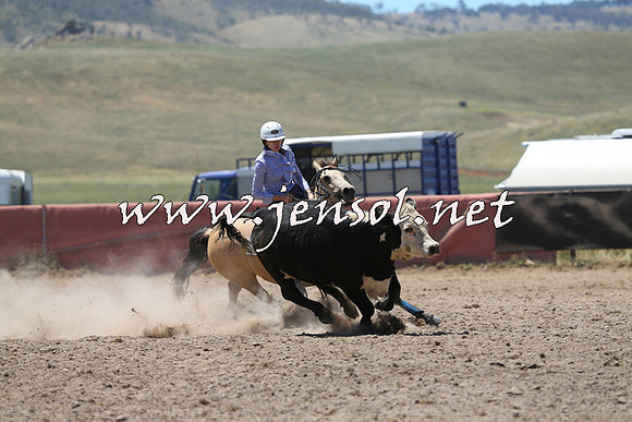 AdaminabyCampdraft2014_0093