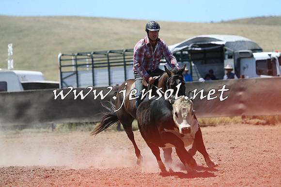 AdaminabyCampdraft2014_0025