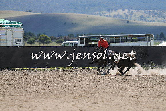 AdaminabyCampdraft2014_0050