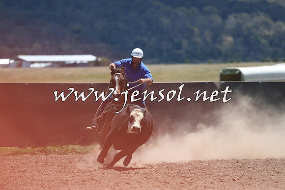 AdaminabyCampdraft2014_0059