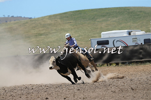 AdaminabyCampdraft2014_0097