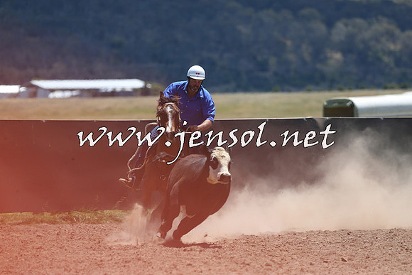 AdaminabyCampdraft2014_0063