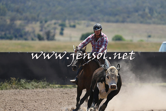 AdaminabyCampdraft2014_0022