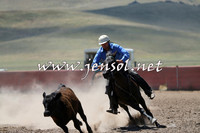 AdaminabyCampdraft2014_0003