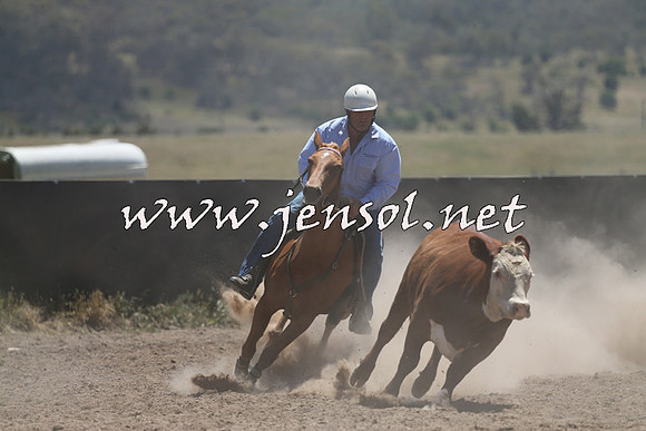 AdaminabyCampdraft2014_0079