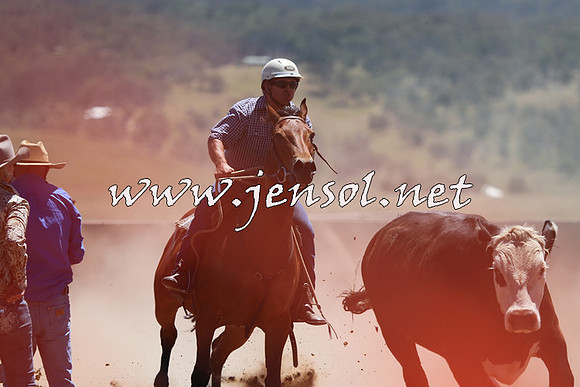 AdaminabyCampdraft2014_0051
