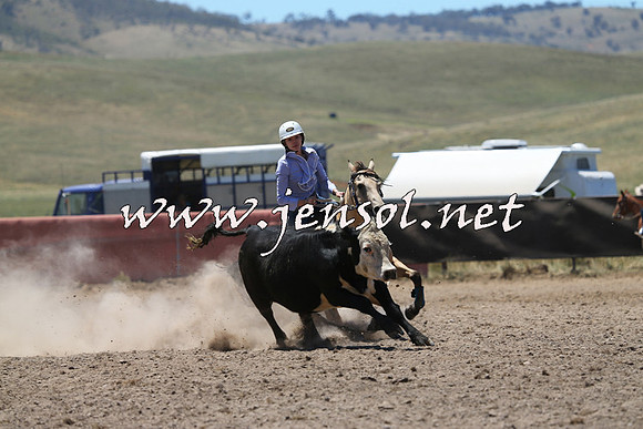 AdaminabyCampdraft2014_0096