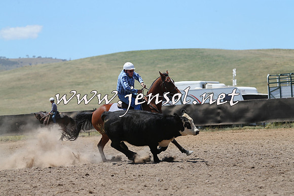AdaminabyCampdraft2014_0112