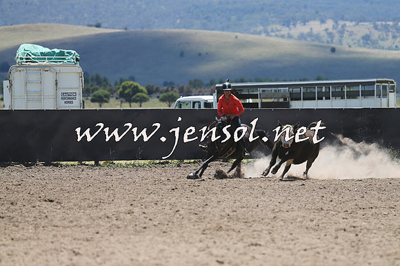 AdaminabyCampdraft2014_0046