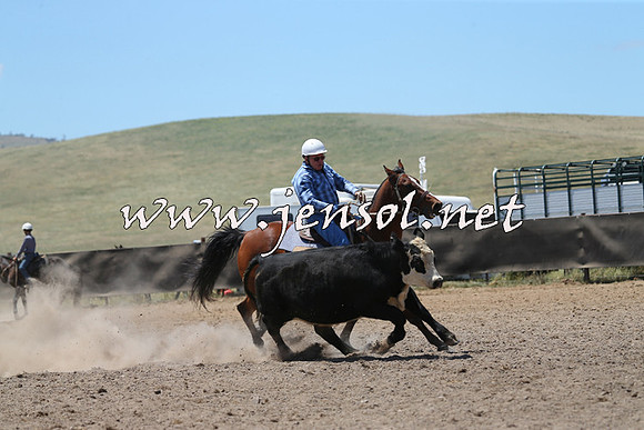 AdaminabyCampdraft2014_0110
