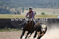 AdaminabyCampdraft2014_0021