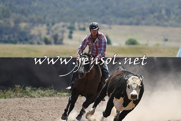 AdaminabyCampdraft2014_0021