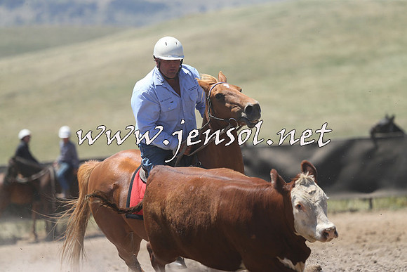 AdaminabyCampdraft2014_0081