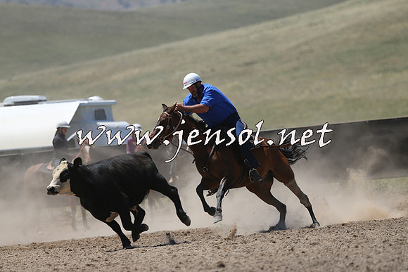 AdaminabyCampdraft2014_0069