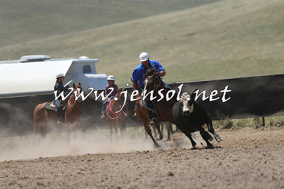 AdaminabyCampdraft2014_0067