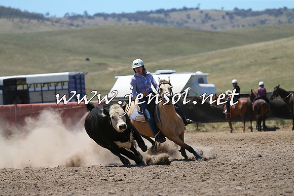 AdaminabyCampdraft2014_0092