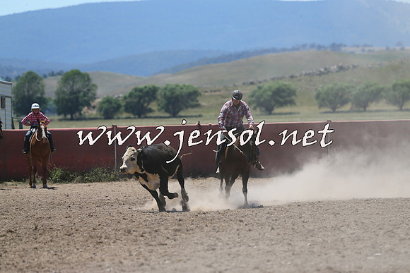 AdaminabyCampdraft2014_0031