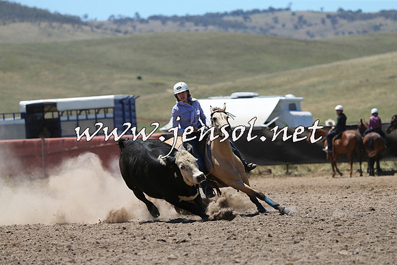 AdaminabyCampdraft2014_0091