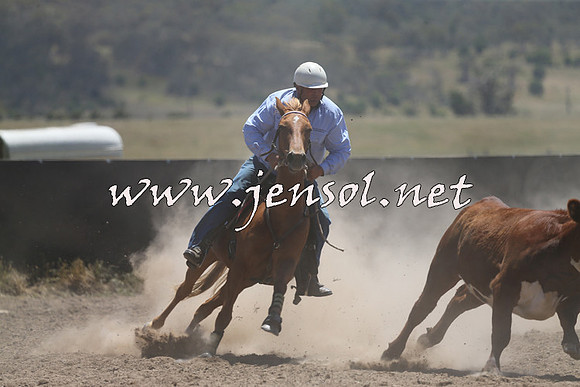 AdaminabyCampdraft2014_0076