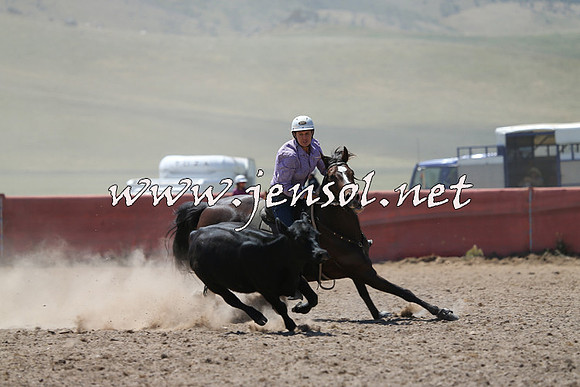 AdaminabyCampdraft2014_0008