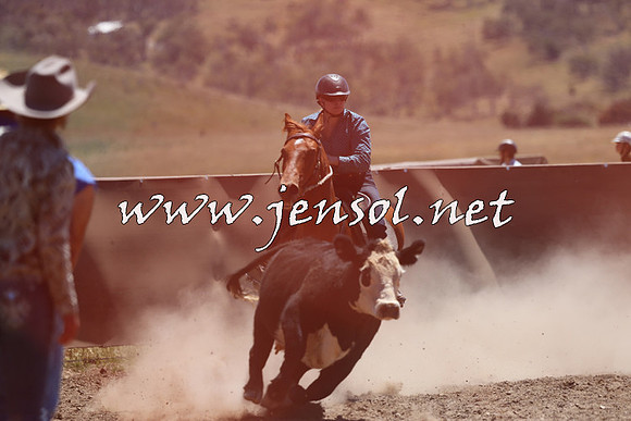AdaminabyCampdraft2014_0073