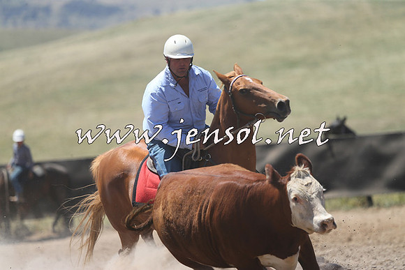AdaminabyCampdraft2014_0080