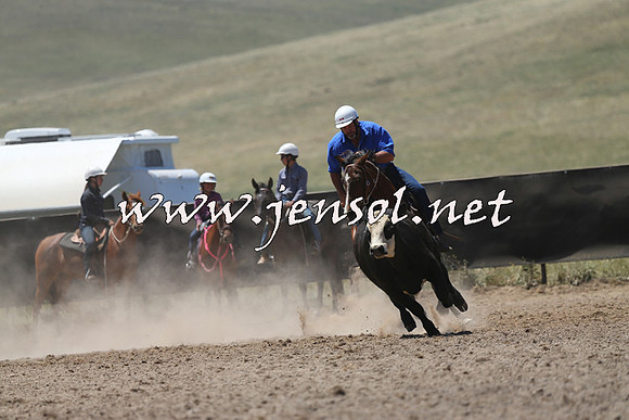 AdaminabyCampdraft2014_0064