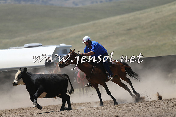 AdaminabyCampdraft2014_0068