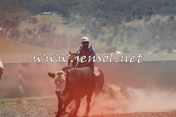 AdaminabyCampdraft2014_0055