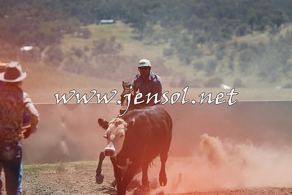 AdaminabyCampdraft2014_0054