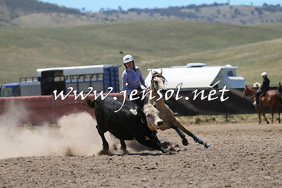 AdaminabyCampdraft2014_0095