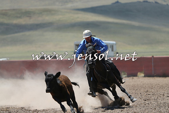 AdaminabyCampdraft2014_0002