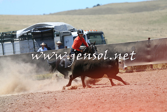 AdaminabyCampdraft2014_0044