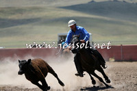 AdaminabyCampdraft2014_0001
