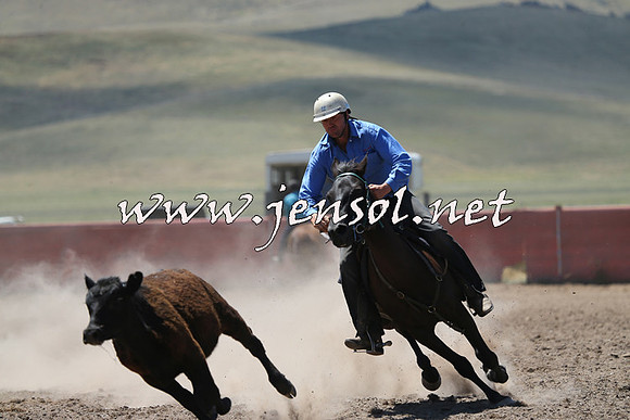AdaminabyCampdraft2014_0001
